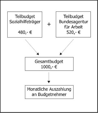 Beispiel für ein trägerübergreifendes Persönliches Budget